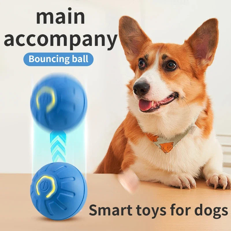 Bola de brinquedo inteligente para cachorro, brinquedo eletrônico interativo para animais de estimação, bola móvel com USB, movimento automático, quicando para filhotes, presente de aniversário, produto para gatos